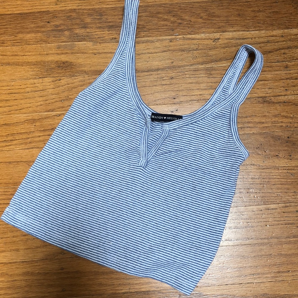Striped Blue Brandy Melville Crop Top